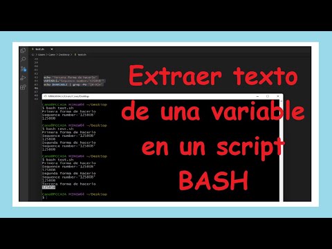 🖥️ Cómo extraer parte de un texto en Bash🖥️ Tres métodos eficientes
