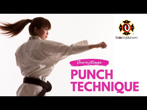 PUNCH TECHNIQUE / 突きの基本　少林寺拳法