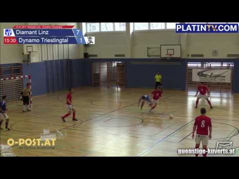 15.01.2017 Diamant Linz - Dynamo Triestingtal - 7:2  (2. Halbzeit / 15:40) am 15.01.2017 15:04