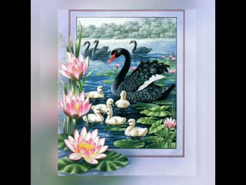 Canción # 145 "HOY VOY A PREDICAR"