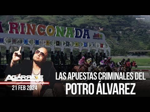 LAS APUESTAS CRIMINALES DEL POTRO ÁLVAREZ