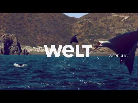 WELT Werbetrenner – Wale (seit Januar 2018 - Mai 2021)