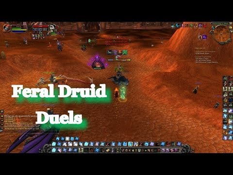 WOW Feral Druid Duels PvP 5.4 MOP
