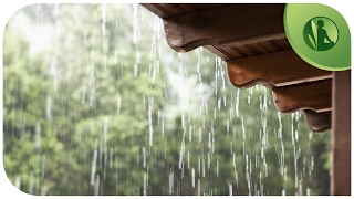 ☁ Barulho da Chuva para Sono Profundo para Relaxar e Meditar, Sons da Natureza com Barulho de Chuva