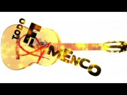 nietos de la rumba, vengo