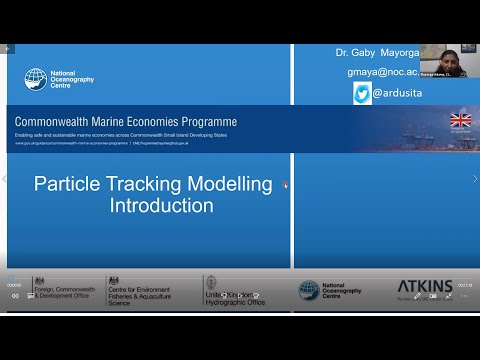 Particle Tracking