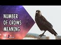 Number Of Crows Meaning