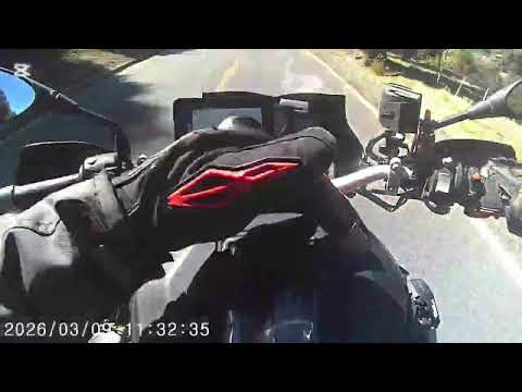 Ruta lonquimay a alto bio bio