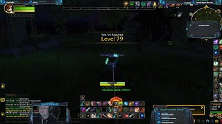 The Wandering Isle Stayer Level 79 (Covertagent) - The War Within (Neutral Pandaren)