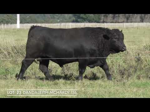 Lot 23 DANDALEITH MCHARDY 136