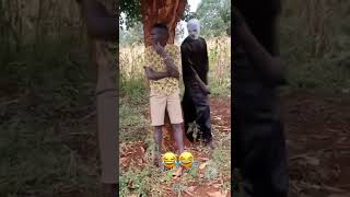 #funny videos video