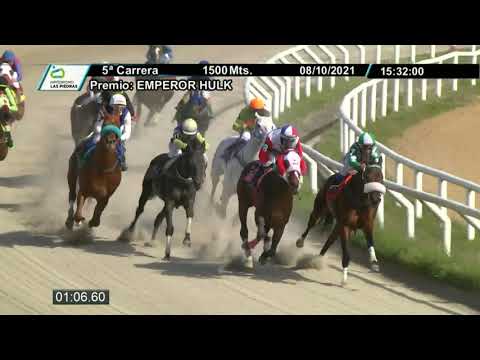 211008 c05 - ROYAL BLUE - HIPODROMO LAS PIEDRAS