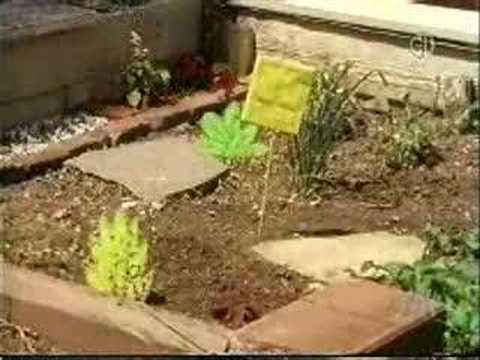 Sesame Street - H's grow in a Garden