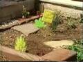 Sesame Street H S Grow In A Garden