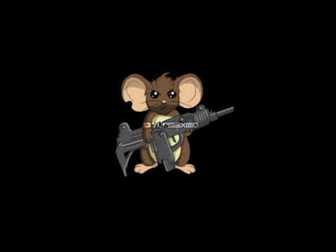 12 MINUTOS DE BEAT HU DO BAILE DA FAIXA, CURRAL, DICK E PAROPEBA ( DJ PSICO DE CAXIAS )