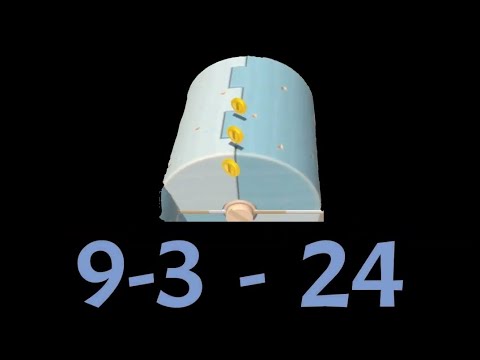 Super Mario 3D World (Switch) 9-3 Speedrun - Time: 24 (TWR)