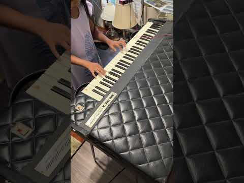 RM Electra-Piano and Harpsichord 300B Late 1960s - Gray / Silver Vinyl     with Original Legs and Case image 8