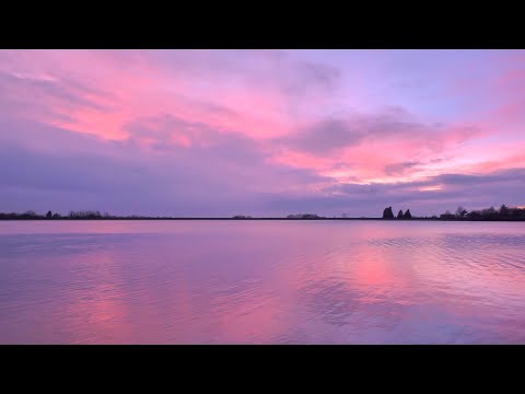 ~30 Minutes of Relaxing Music to Start or End your day~