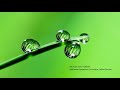 Michael Torke: GREEN