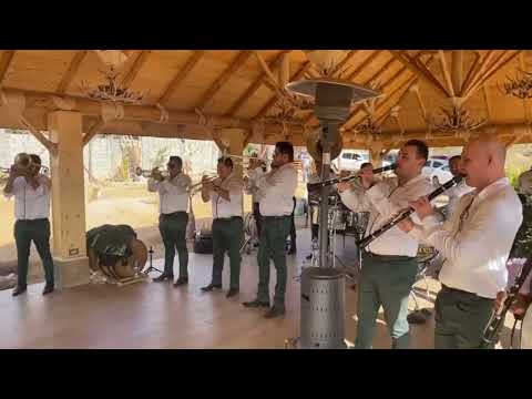 Manuelito - banda los populares del llano