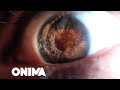 Fifi - Maniak i dhimbjes ( prod.by ÇelikLipa ) Fifi - Maniak i dhimbjes ( prod.by ÇelikLipa )