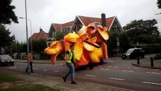 Arabian Derby @vanreedestraat #bc2013 part1