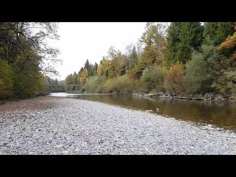 llfis à Langnau im Emmental (21.10.2017)