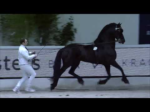 HK2021 Ereronde rubriek 2, groep 2