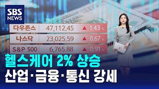 헬스케어 2% 상승…산업·금융·통신 강세 / SBS / 뉴욕증시