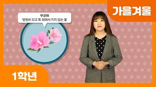 [초등 1학년 | 가을겨울] 우리나라 문화 | 한복 | 태극기 | 통일