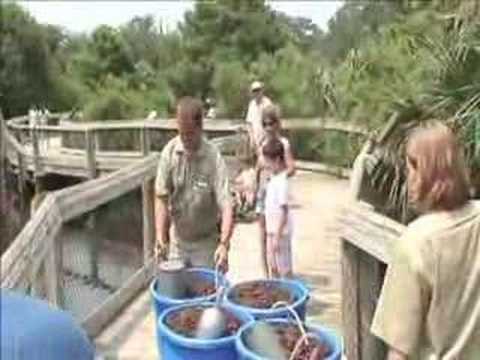 YouTube Video 9gOg4HK_Lfc