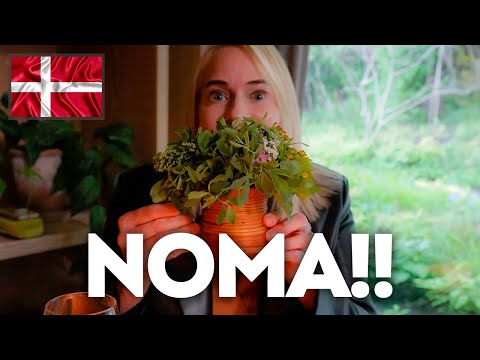 3 Michelin star and world #1 restaurant Noma!!  Our good friends from the US join for dinner!!