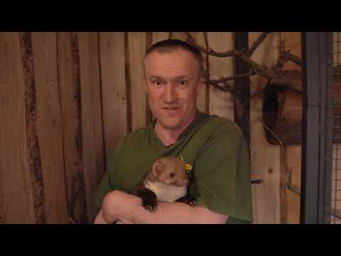 Zvířátkov volá o pomoc!