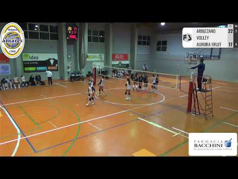 CAMPIONATO 1 DIVISIONE