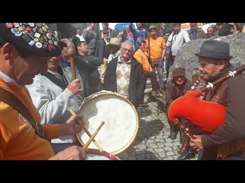 J. Carriço e Raimundos - Malmequer