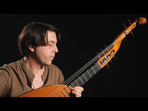 Hermann Hauser I - 9-String Guitar Lute (1922) image 21