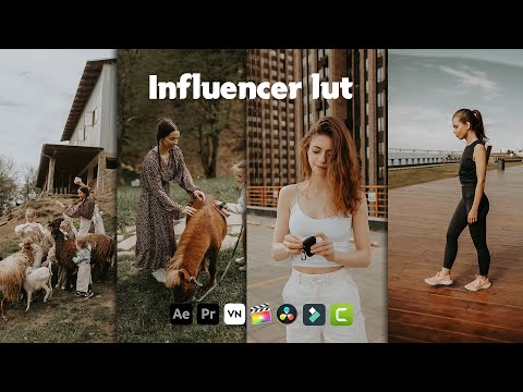 Influencer LUTs - lut for video filter - video presets - luts for premiere pro - cinematic free luts