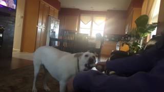 Cooper.   Diciembre 31 2016