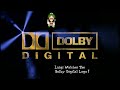Luigi Watches The Dolby Digital Logo