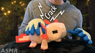 ASMR | 🦎 A SOOTHING Chiropractic Adjustment on your Minecraft Axolotl