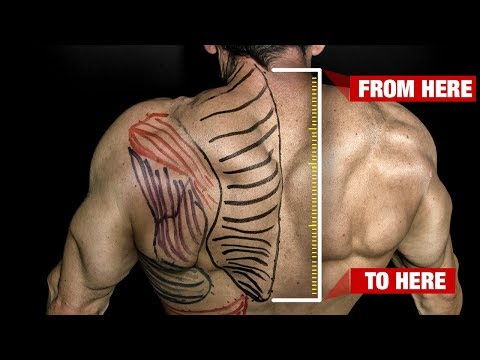 How to Get Bigger Traps How to Get Bigger Traps