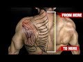 How To Get Bigger Traps GUARANTEED