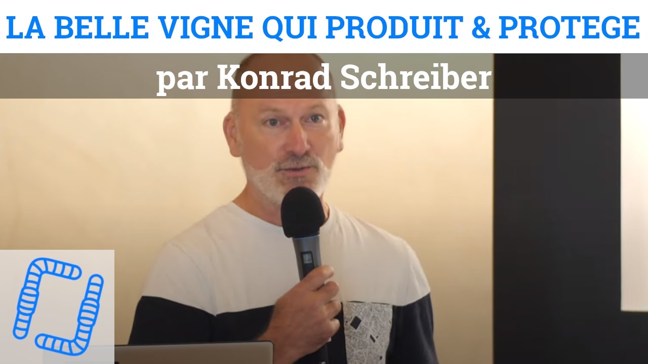 La vigne en danger de mort : comment produire & protéger, par Konrad Schreiber