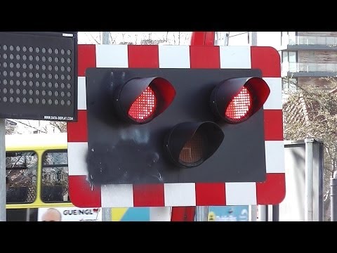 Level Crossing at Merrion Gates - IE 8510 + 29000 Class Trains