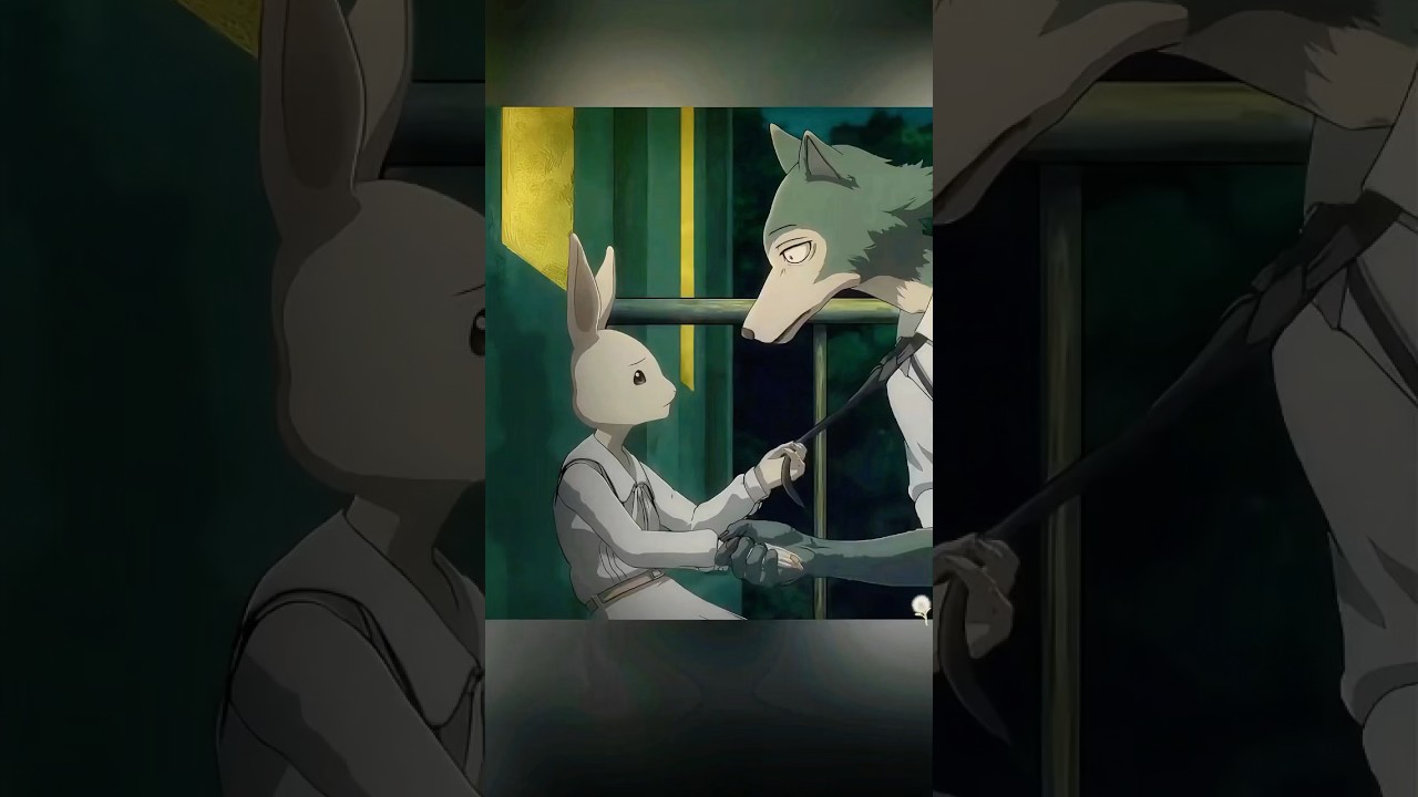 Haru expressed his love for Legoshi #anime #furry#shorts