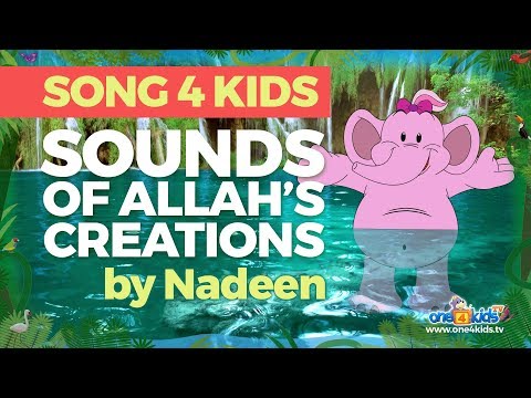 New Song for Kids - Sounds of Allah's Creations