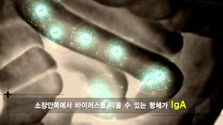 경구용 PED 홍보 동영상