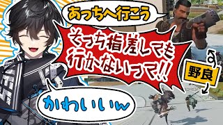 【APEX】愉快な野良たちと戯れるアクシアまとめ【アクシア・クローネ/にじさんじ切り抜き】