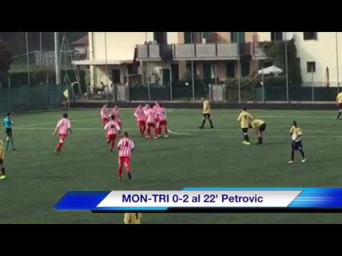 HIGHLIGHTS: MONTEVIALE-TRISSINO 1-3