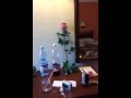 Hotel Amigo Club Tropical 
